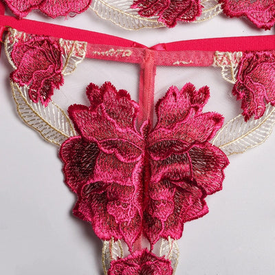 Conjunto de lencería rosa de encaje Nicole-Diabolique.es